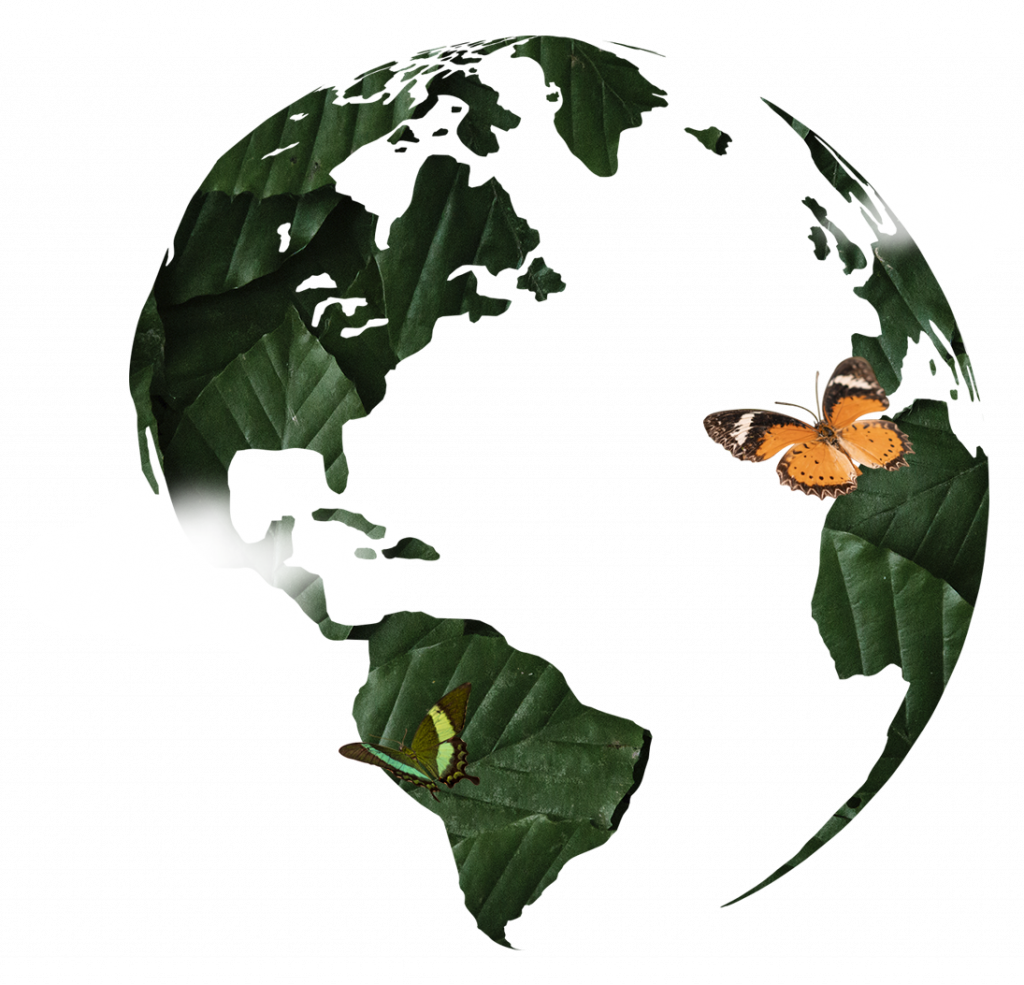 Earth copy Planet Earth