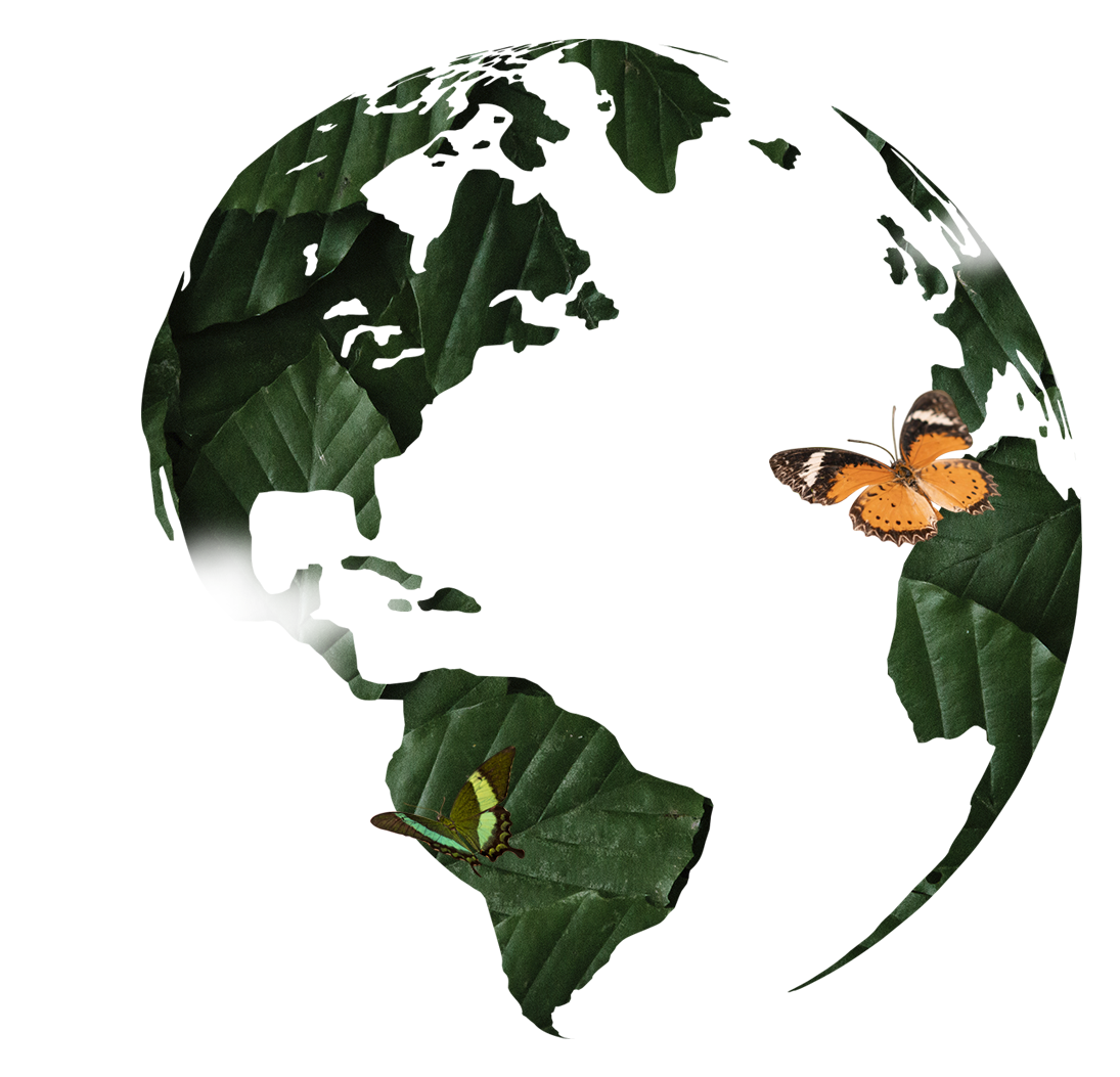 Earth copy Planet Earth